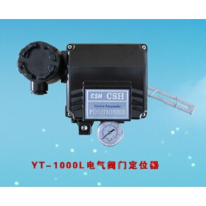 YT-1000LϵyT(mn)λ